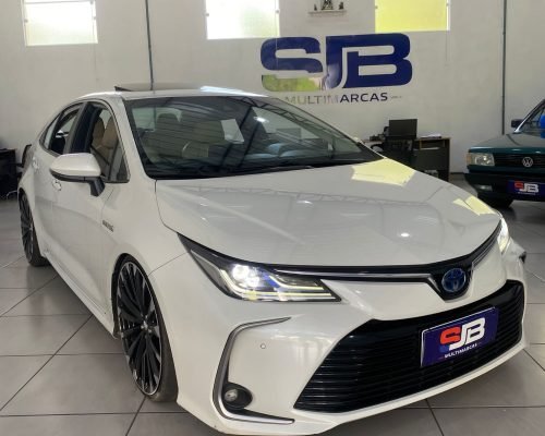 WhatsApp Image 2026-01-14 at 12.51.54 (2)