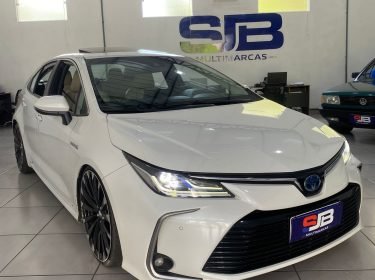 WhatsApp Image 2026-01-14 at 12.51.54 (2)